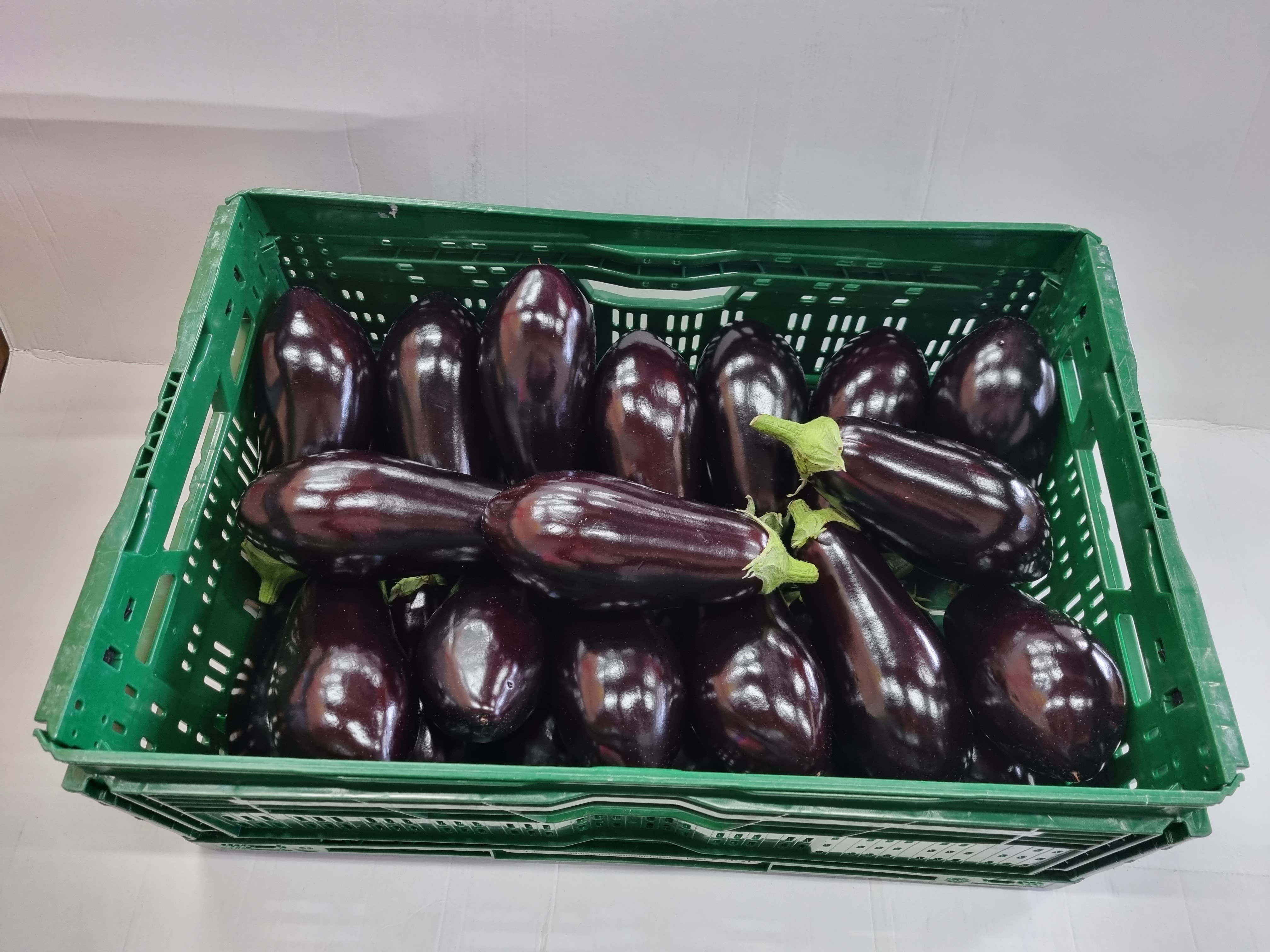 Aubergine