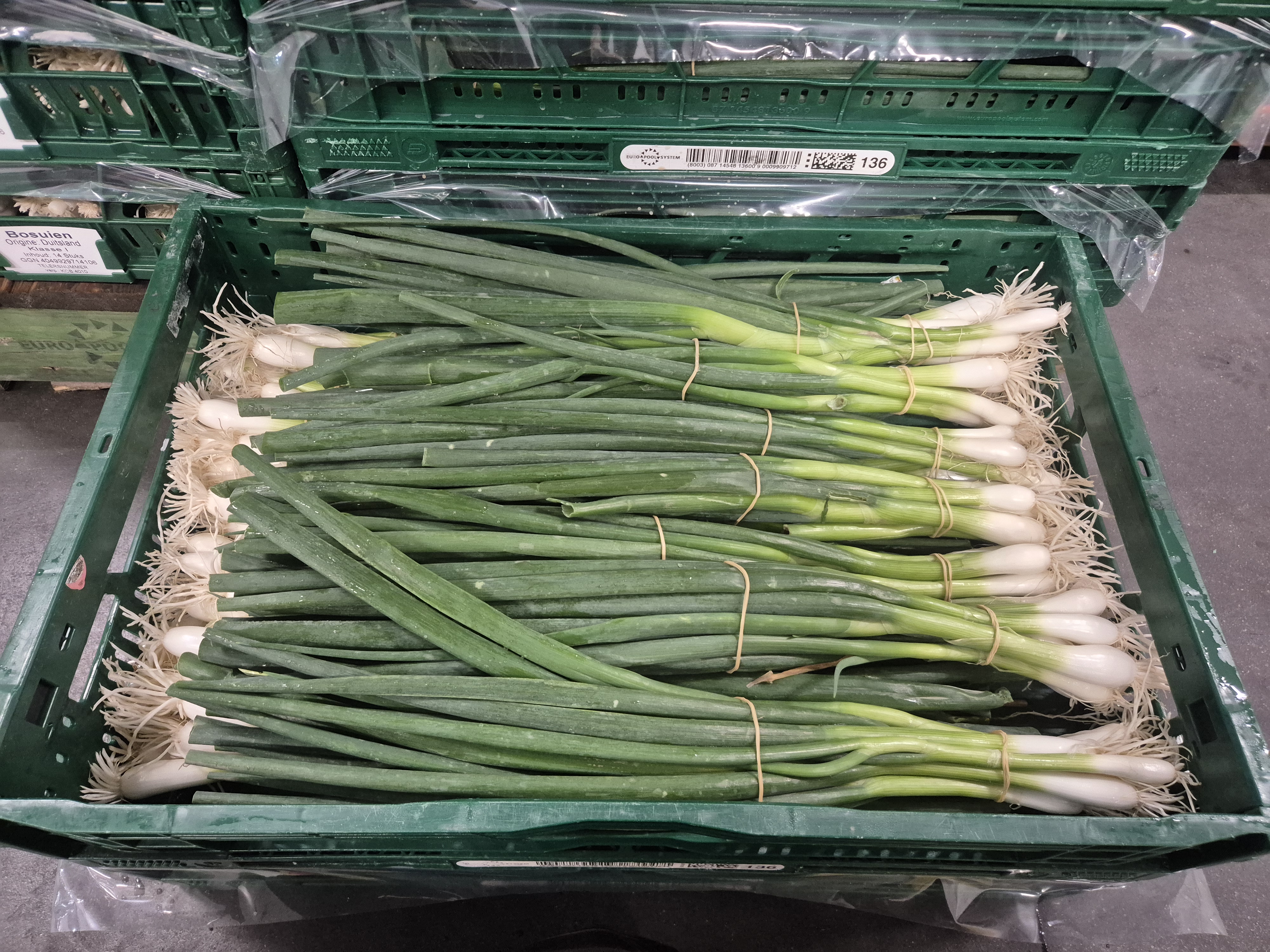 Lente-ui