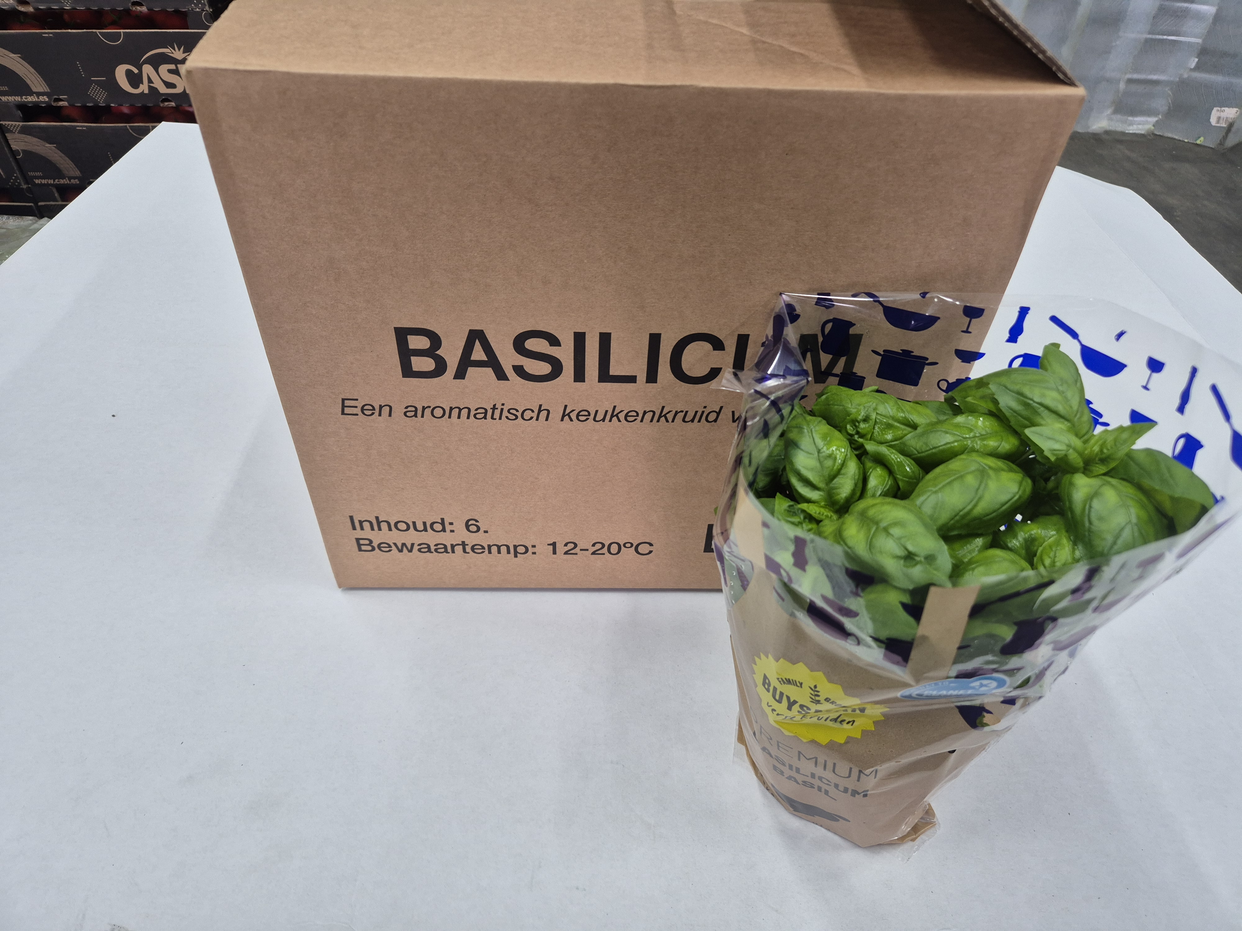 Basilicum pot