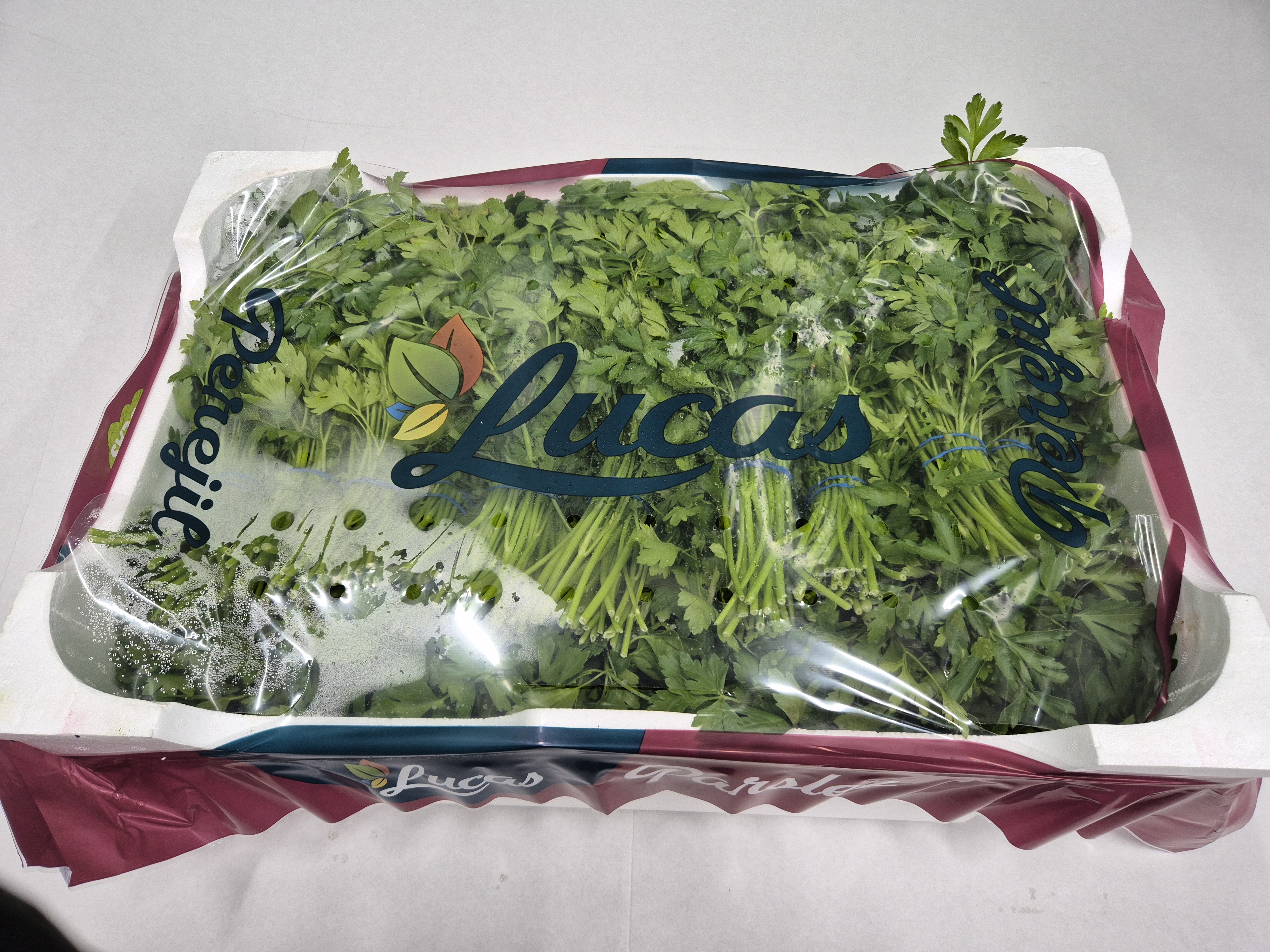 Platte peterselie