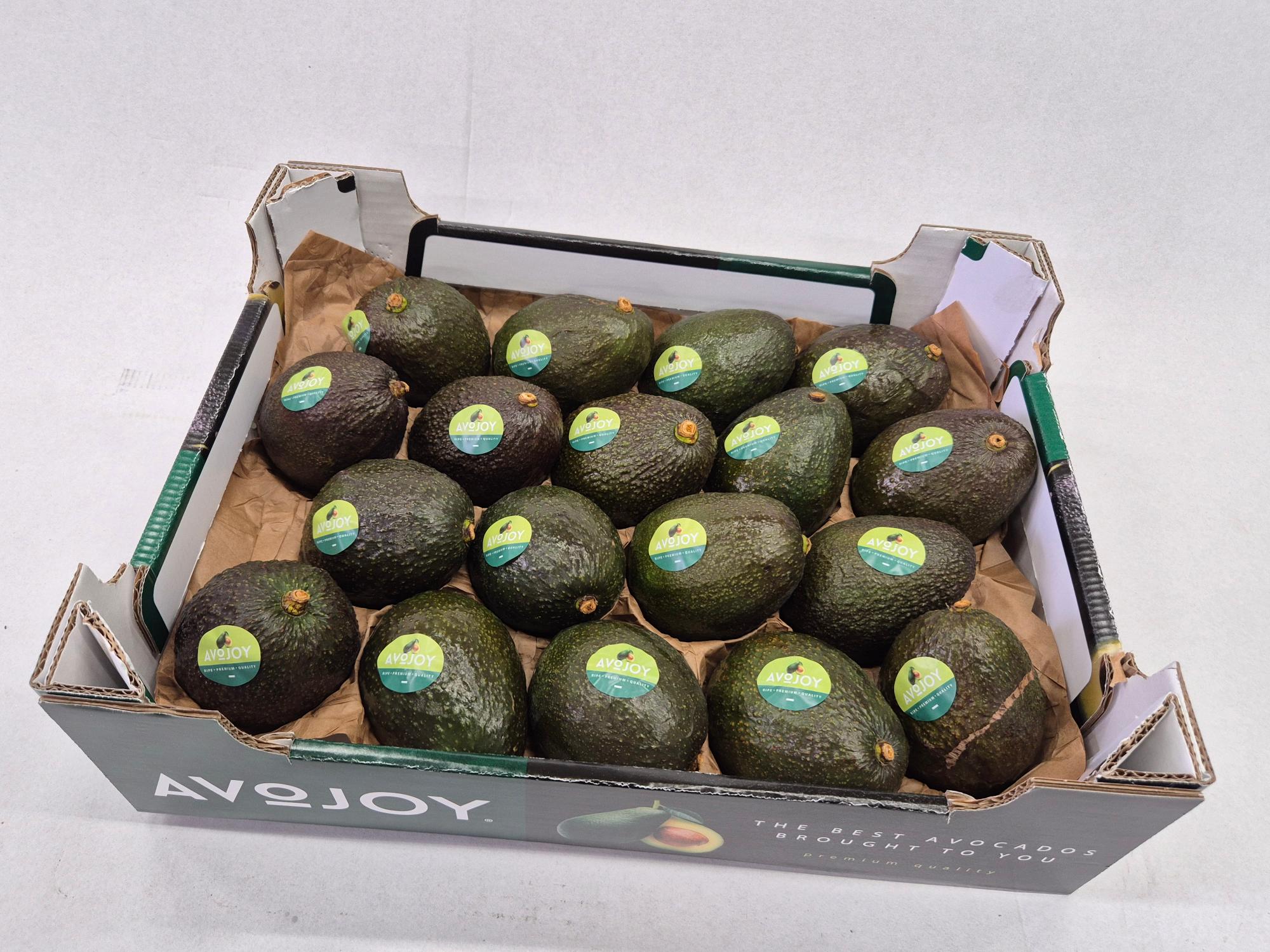 Avocado Ready to Eat