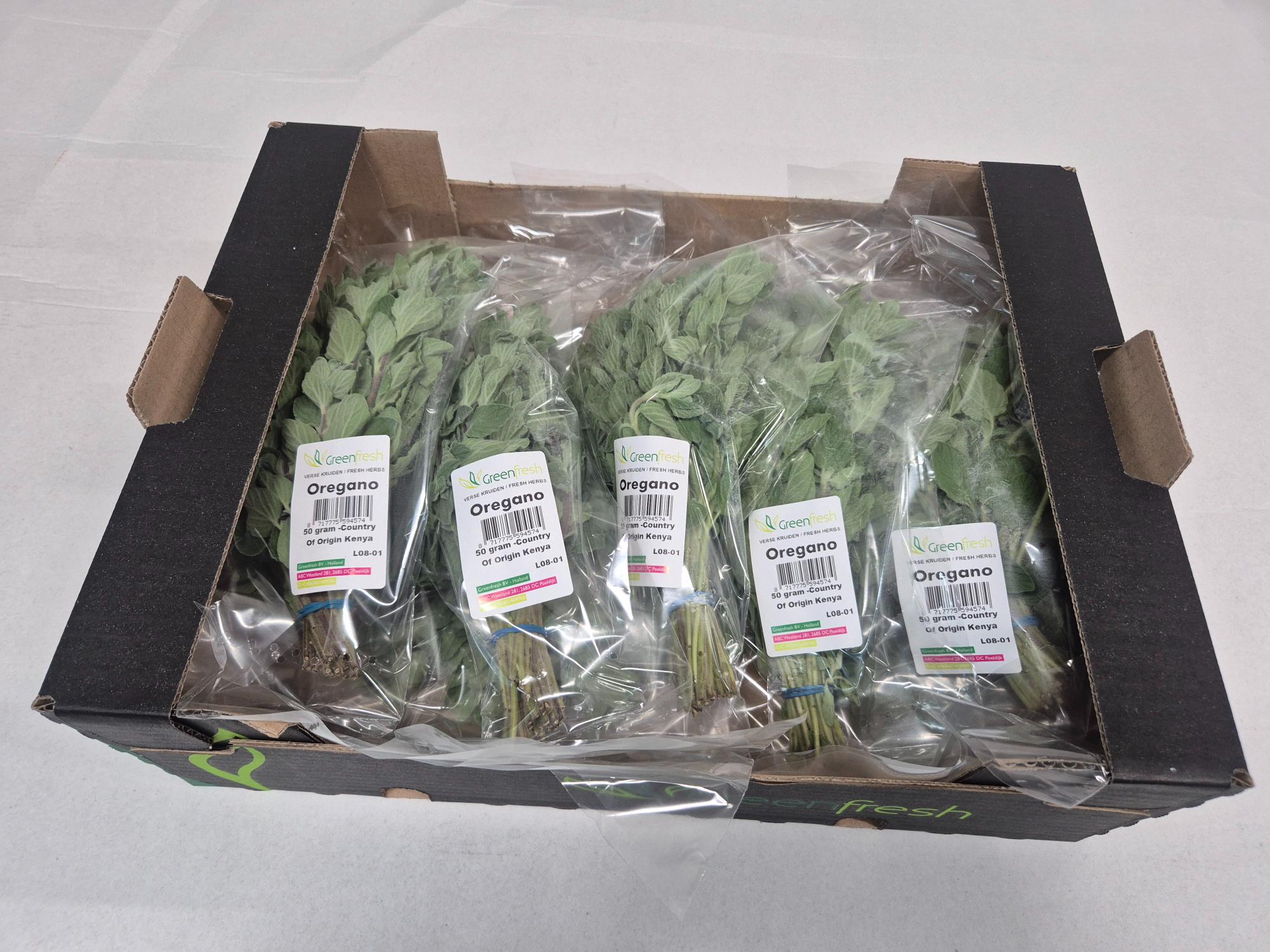 Verse oregano