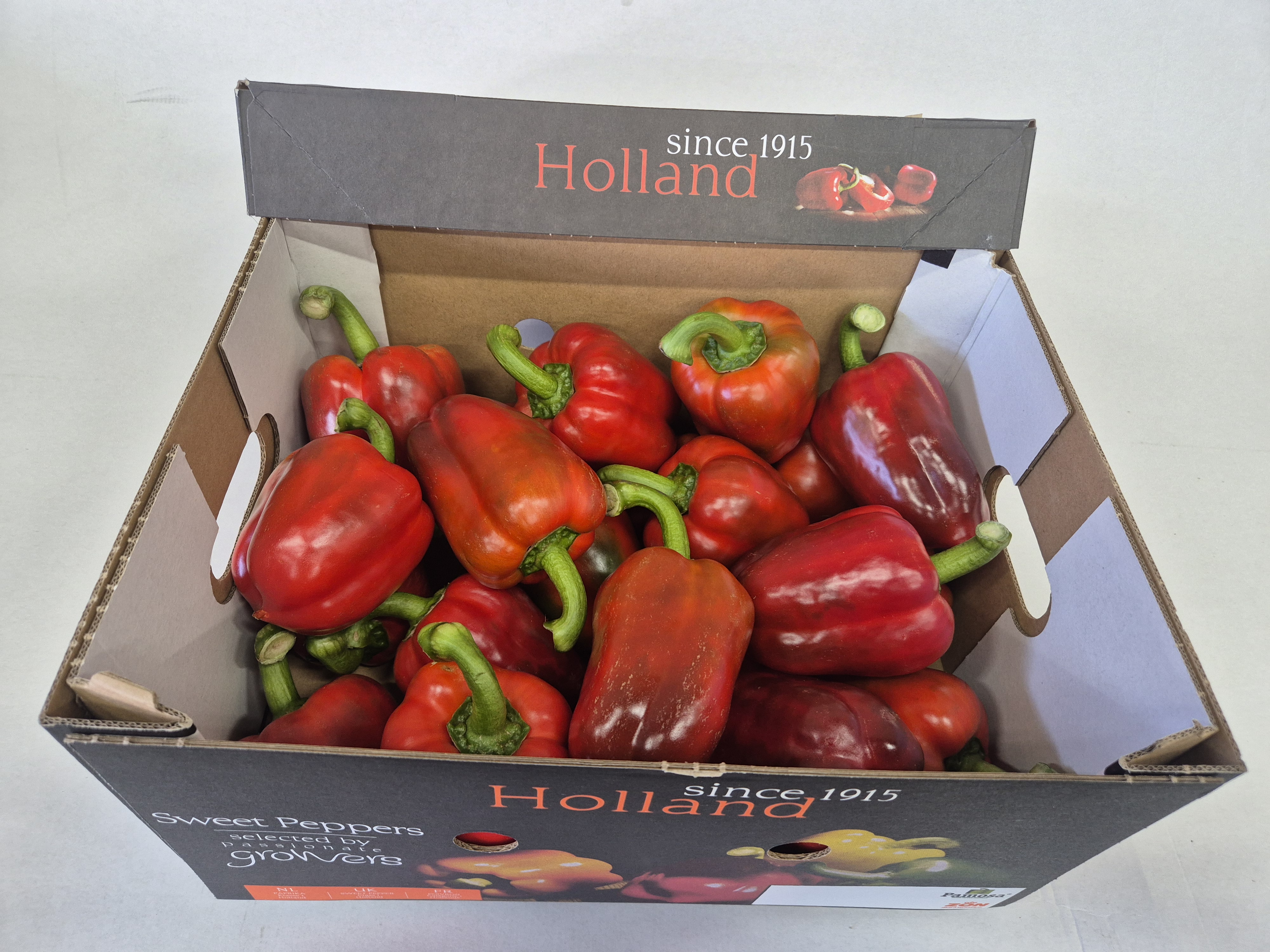 Paprika rood